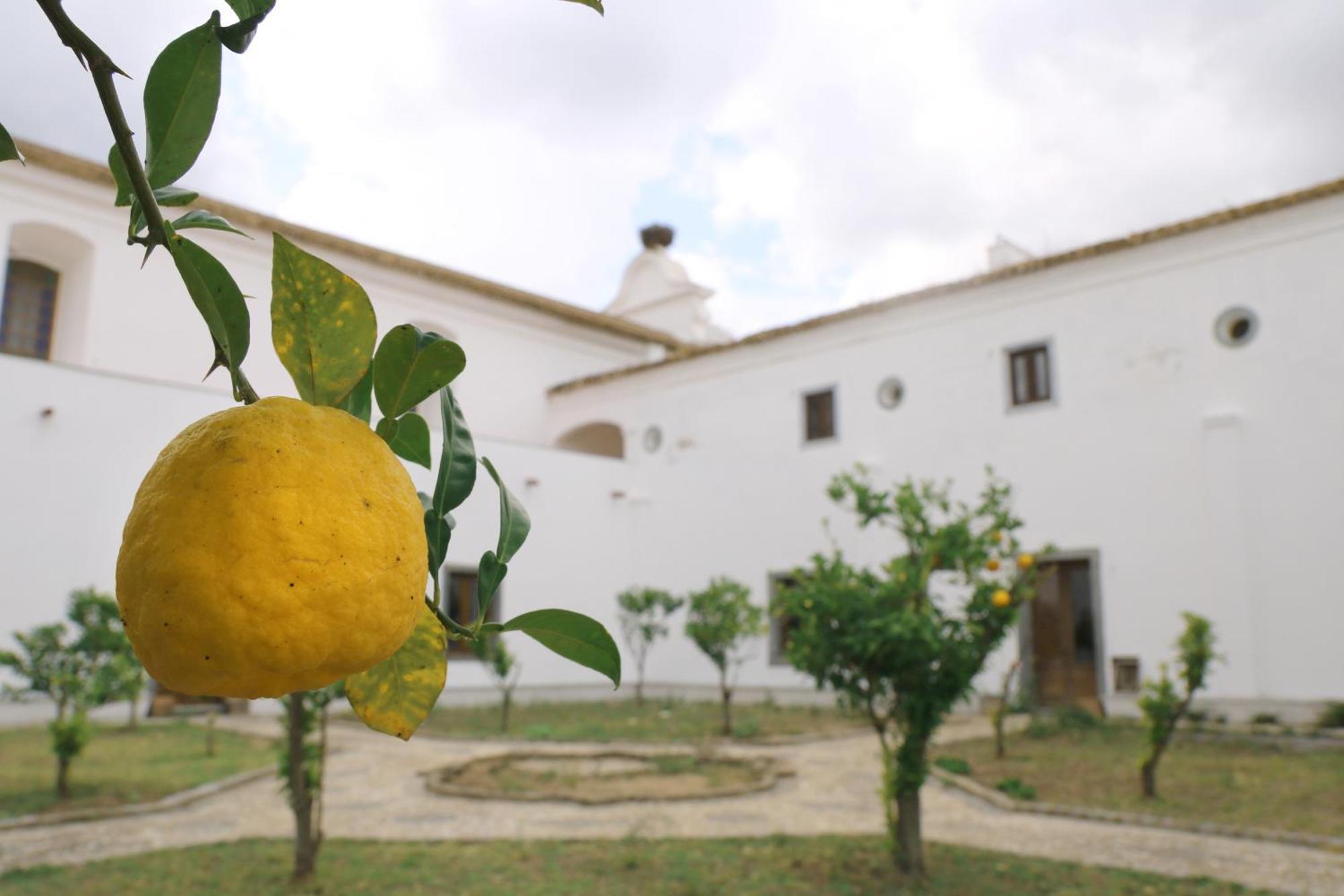 Hostal Convento Da Orada - Monsaraz Exterior foto
